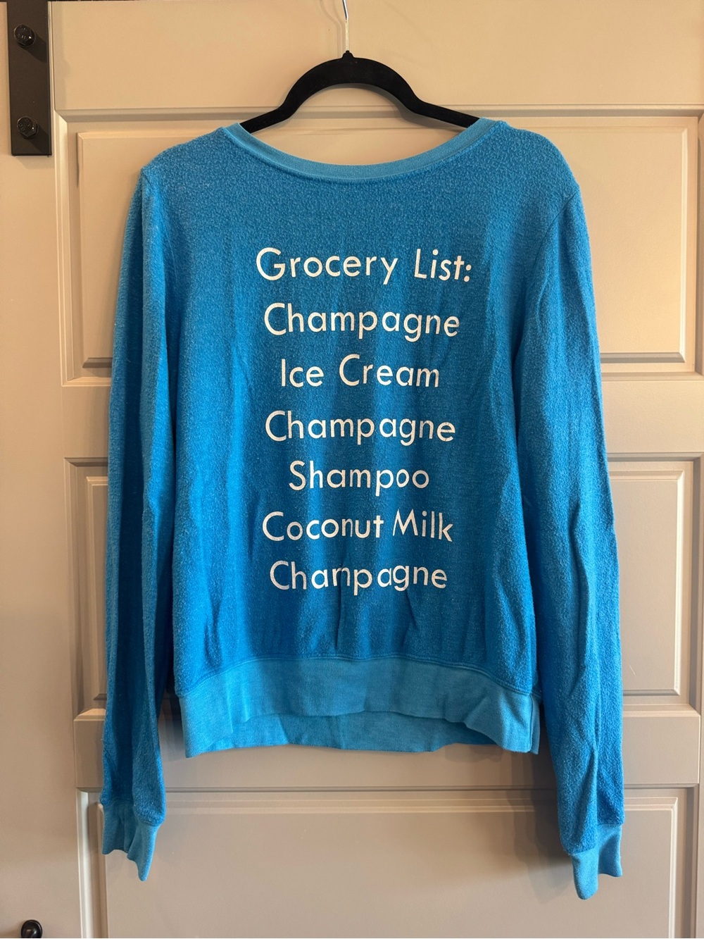 Wildfox Blue Graphic Crewneck Sweater with White Text